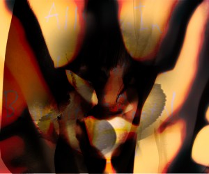 All Songs All Songs